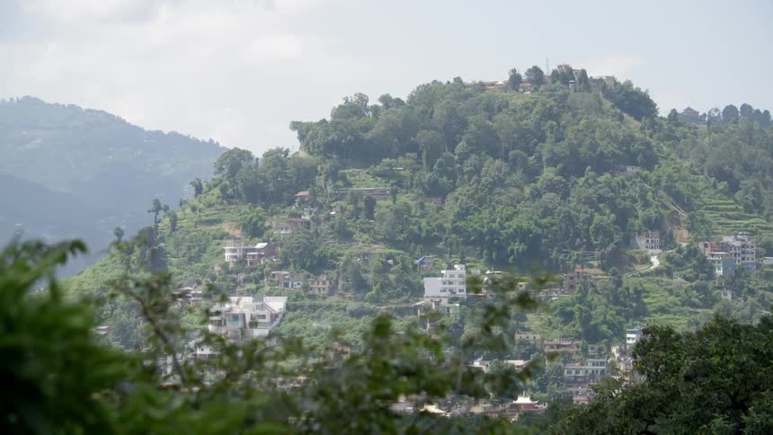 Houses on the side of a densely wooded mountain