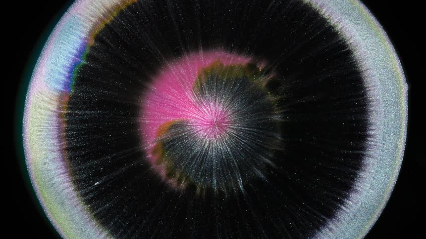 Colors explode in the darkness