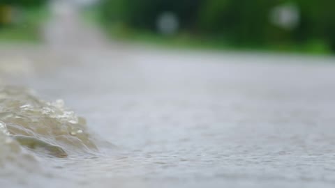 A flooded roadway is seen just before a fish surfaces above the water in this odd and surprising shot