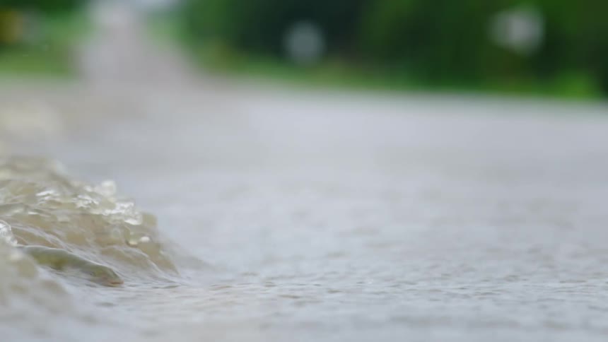 A flooded roadway is seen just before a fish surfaces above the water in this odd and surprising shot