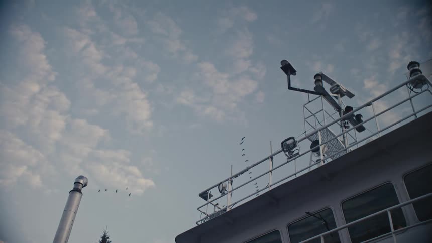 Birds fly in formation in the sky above a large boat