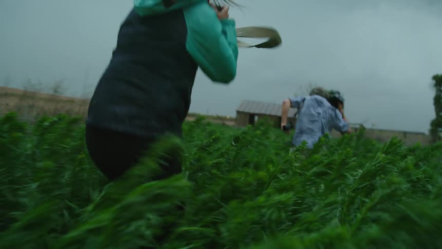 Man and a woman holding cameras running away from a intense severe thunderstorm wind and lightning in a field in a rural area towards an abandoned house
