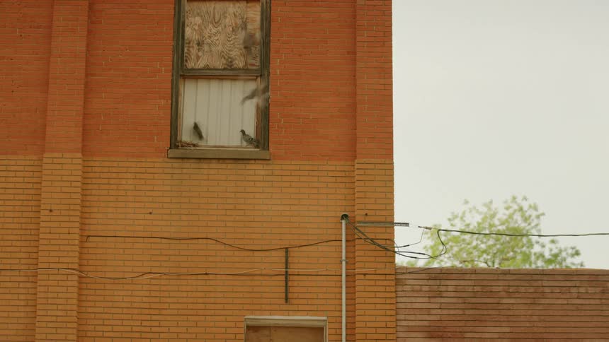Pigeons in the windowsill on an abandoned red brick building fly away after lightning strikes with dark storm clouds in the background