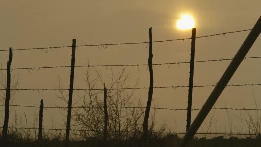 Sun shines bright through clouds on a barbed wire fence with dry plants moving in the wind