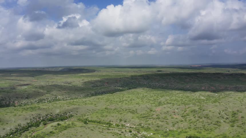Time lapse aerial shot following white puffy clouds across a bloom of yucca plants in rural Texas during early summer showing off how beautiful the Texan landscape is