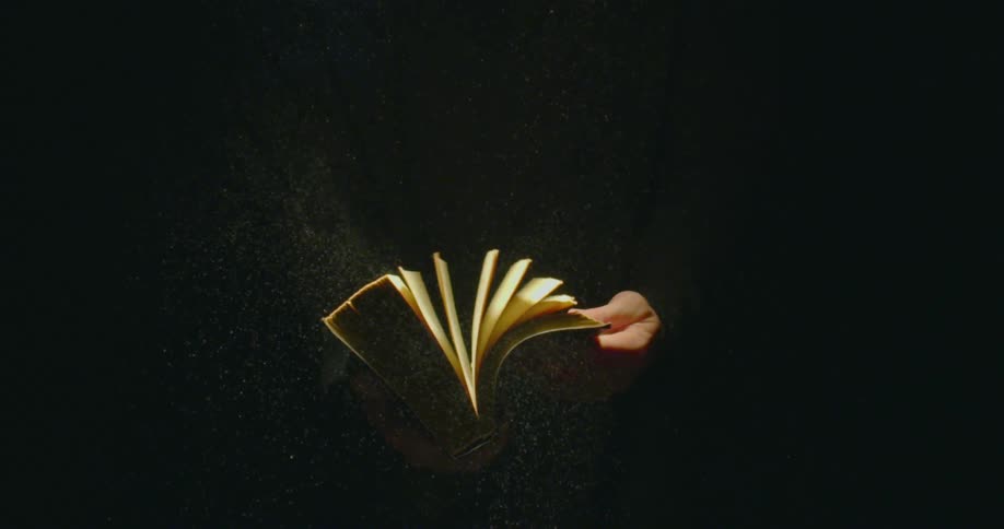 Hands flipping through all of the pages in a book tossing dust into the air