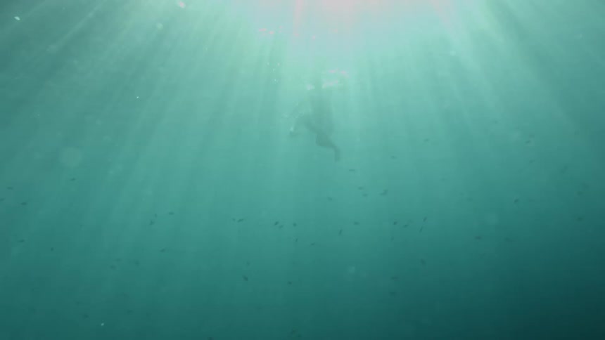 Person swimming underwater behind a flare of sunlight in the ocean with small fish swimming around in the distance