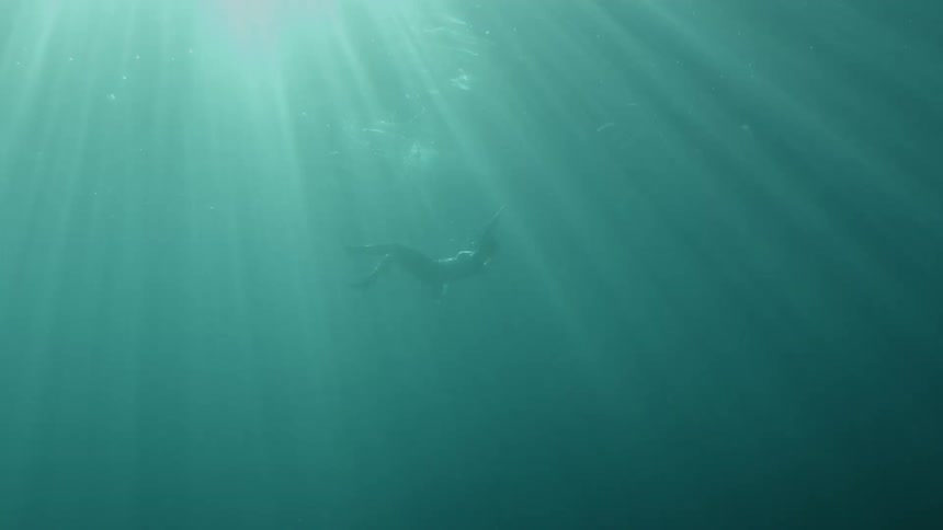 A person is swimming under water