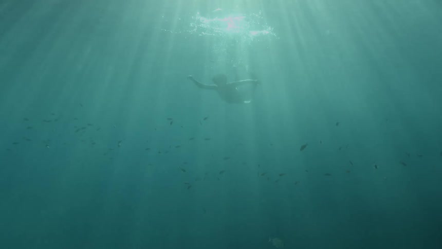 Youthful figure diving in blue ocean waters