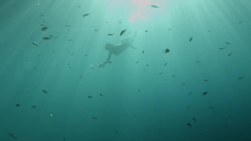 Sunlights shines and glares from the ocean surface through the water shining on a diver and fish