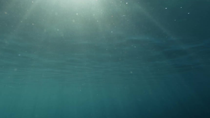 Underwater shot in the ocean where the sun is beaming down in a flare on the surface