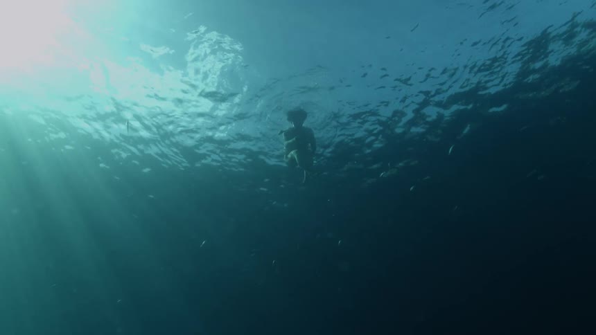 A woman is surrounded by fish as she swims underwater in the ocean