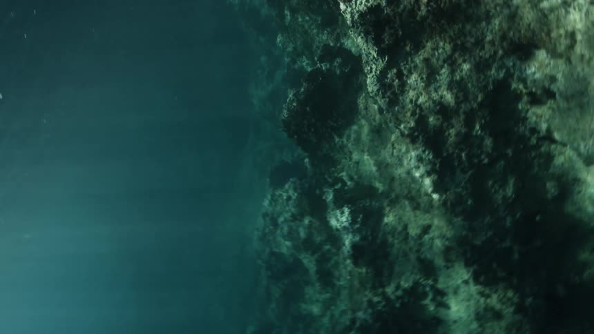 A desolate underwater reef runs from the ocean floor up through the oceans surface