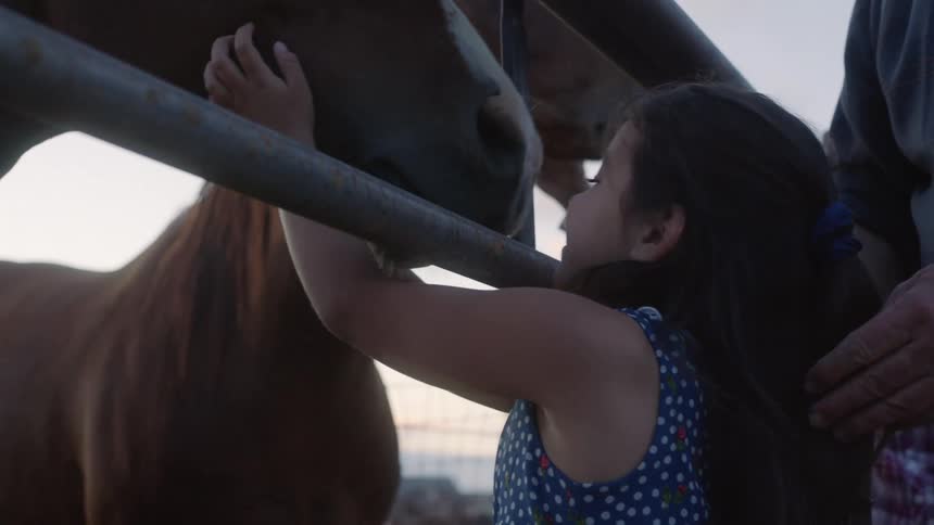 Little girl reaching into a fence and petting brown and white horses