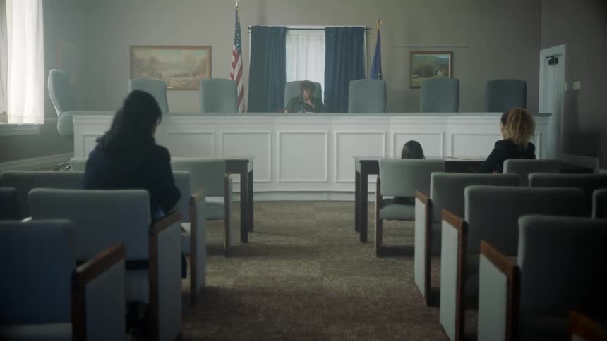 A woman stands up and approaches a judge in a court room
