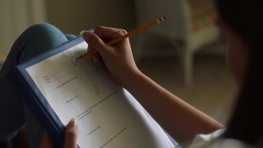 A teenage girl doodling on her homework