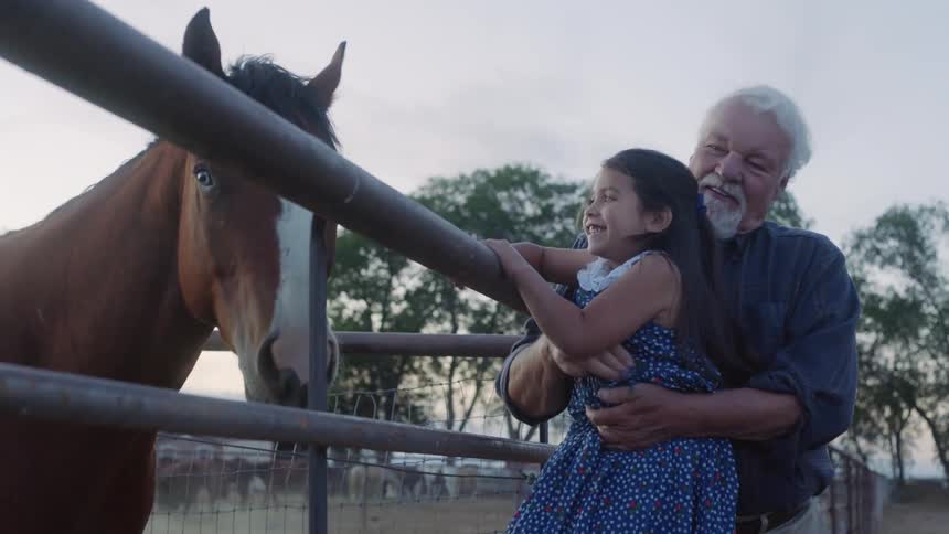 A smiling grandfather holds his excited granddaughter up to pet a calm brown horse on the other side of the fence