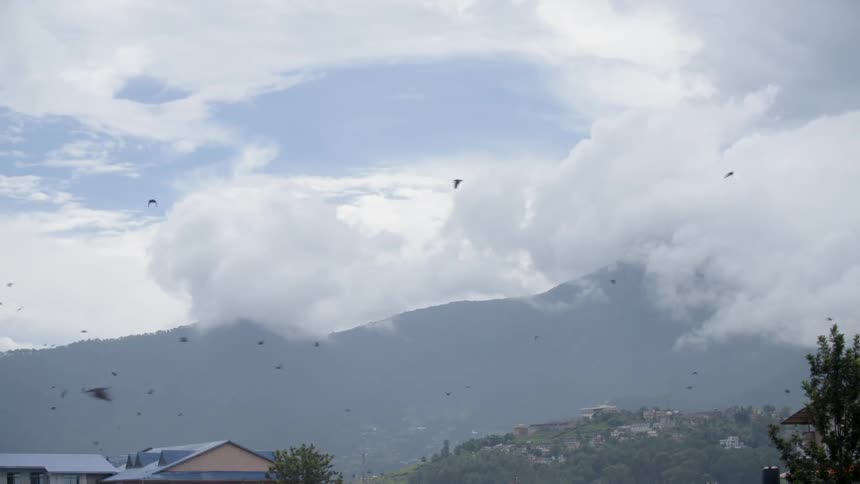 Birds flying all around with mountains in the background on a cloudy day