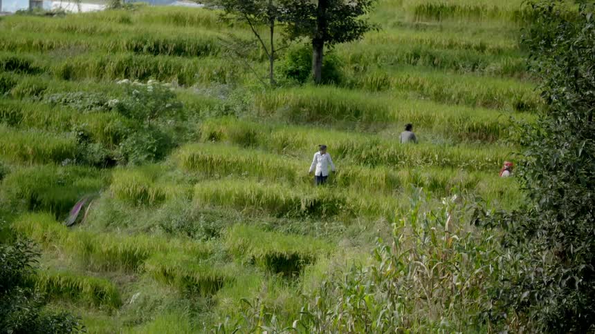 Nepal