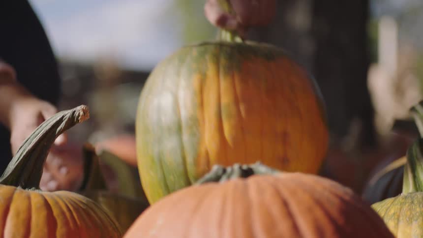 Woman picking pumpkins from a pallet in an open market