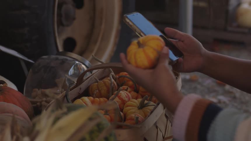 A woman picks up a squash from a basket and holds it up to her face and takes a picture of herself with her phone