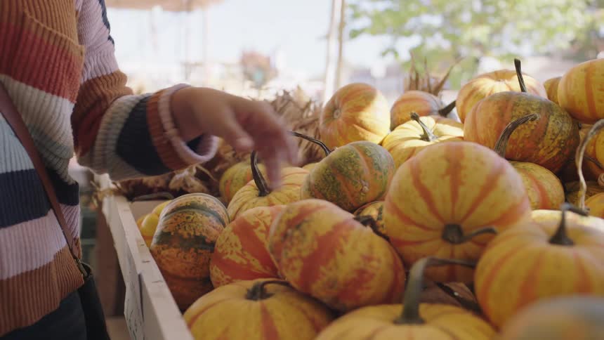 Woman with a sweater and jeans buys a pumpkin from pumpkin store