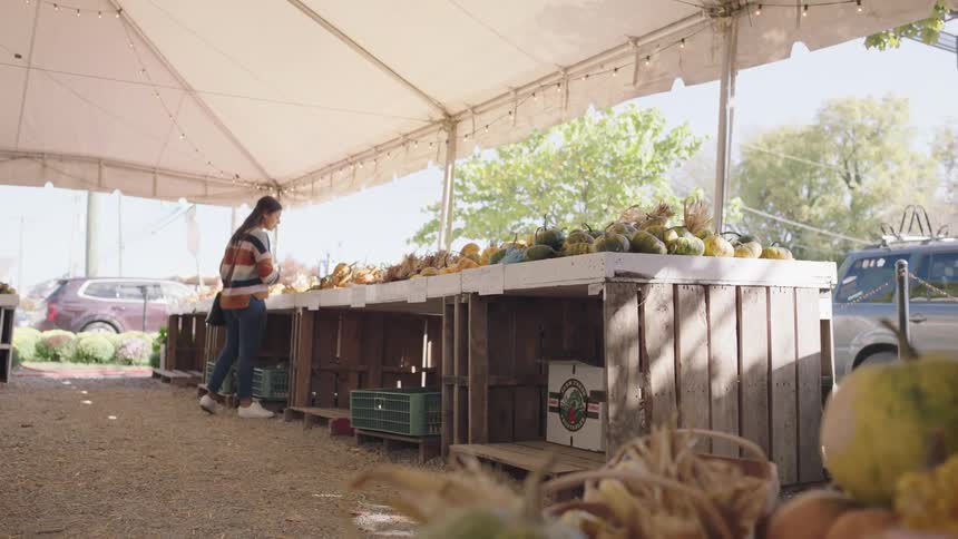 A woman in a striped sweater shopping at an outdoor produce stand