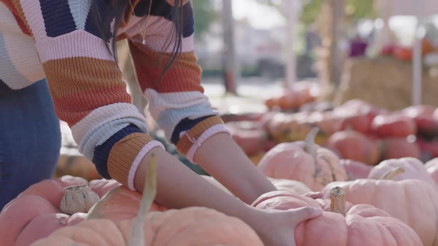 A young woman leans over to pick up a pumpkin and examine it while smiling