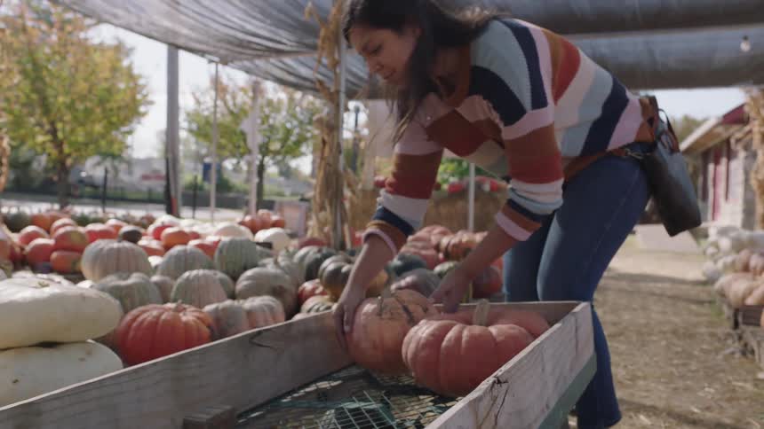 Woman picks up pumpkins from wooden pallets on a public market and puts them on a cart