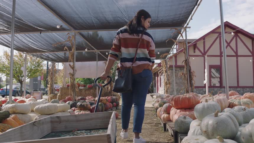 A woman pulls a wagon behind her as she peruses pumpkins at an outdoor market during the day