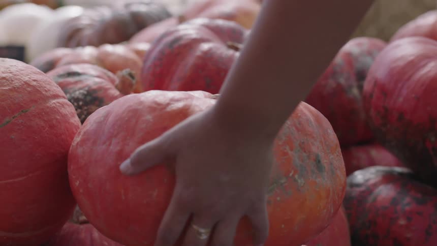 A person places a pumpkin on top of a pile of pumpkins at a produce stand