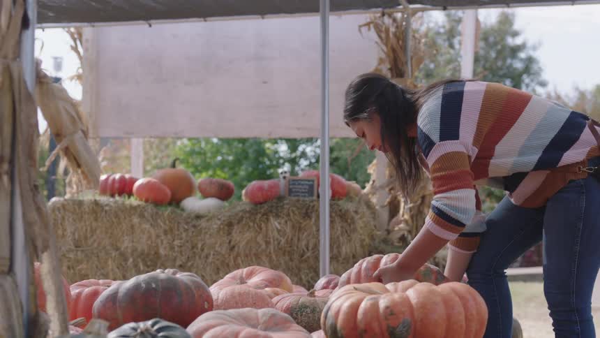 A woman carries a pumpkin and places it back onto the pile at an outdoor market