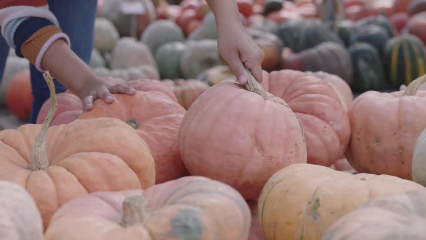 A person places a pumpkins over a pallet in a public market