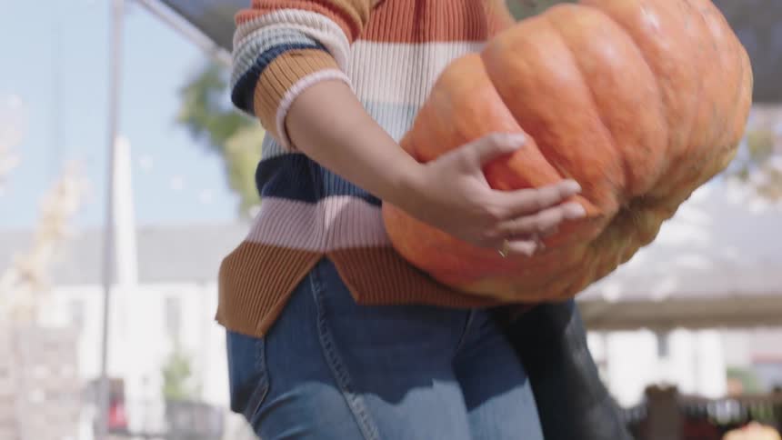 A woman in a striped sweater buying pumpkins at an outdoor pumpkin patch