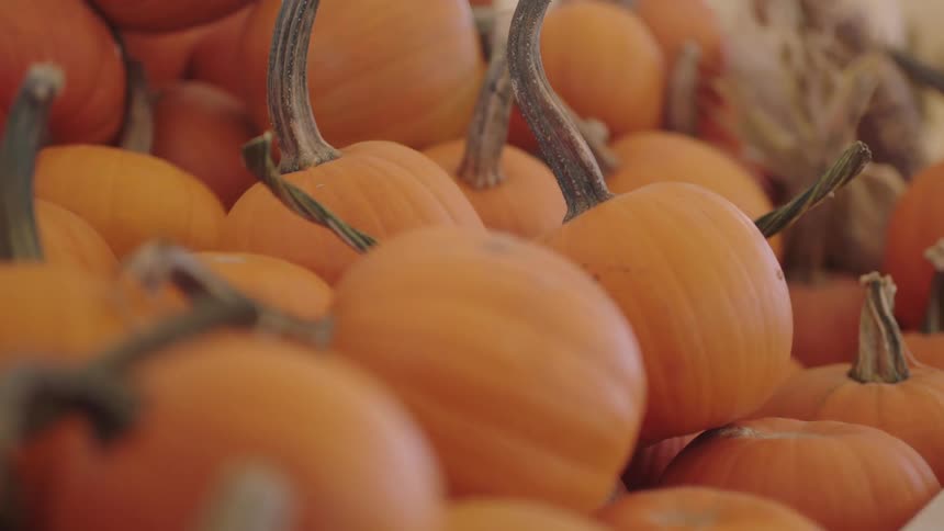 Small orange pumpkins inside a wooden box in a street market