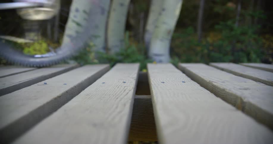 Bike rolls by on a wooden bridge outdoors during the day