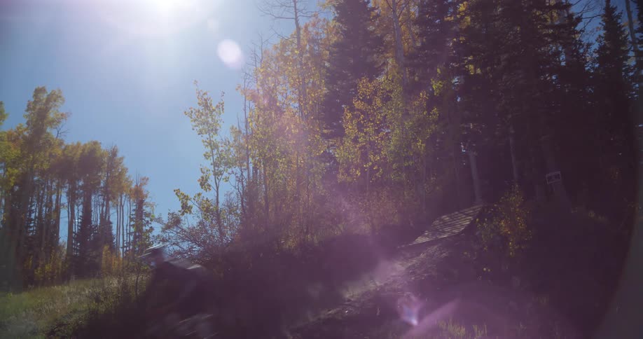 A person riding a mountain bike in the woods jumps down a hill