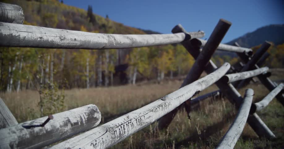 Weathered wooden fence on the field near the forest on the hills