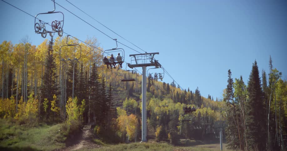 People riding a sky lift with bicycles on the mountain through the pine forest