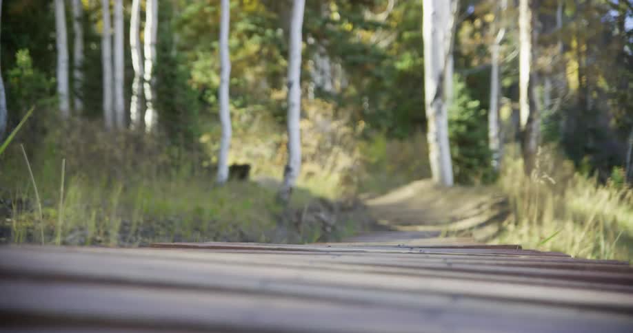 Wooden board road on a trail through the forest at day time