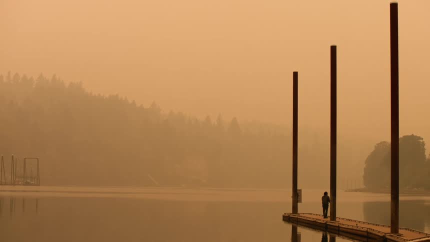 A man walks down a dock and stops and looks at the water