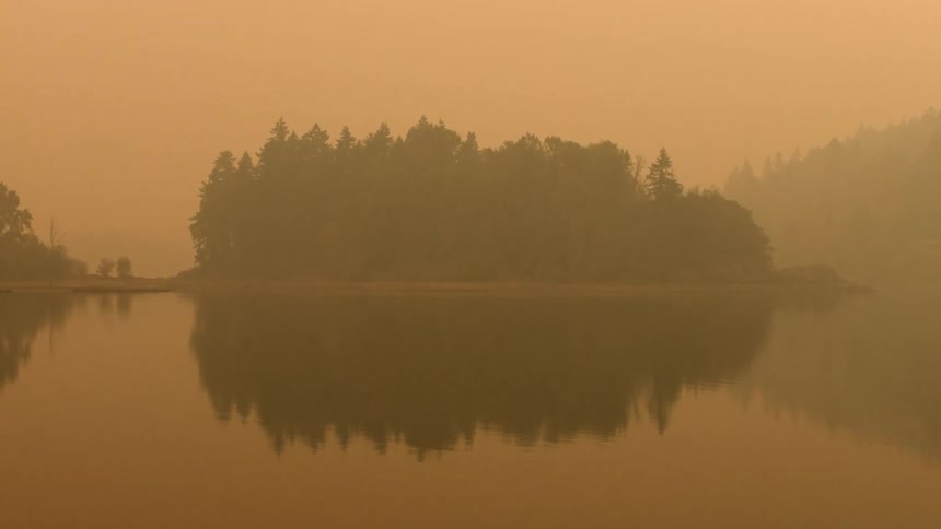 An island covered with trees sits in a lake