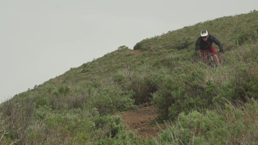 Man rides bike down dirt path on hill with plants on each side