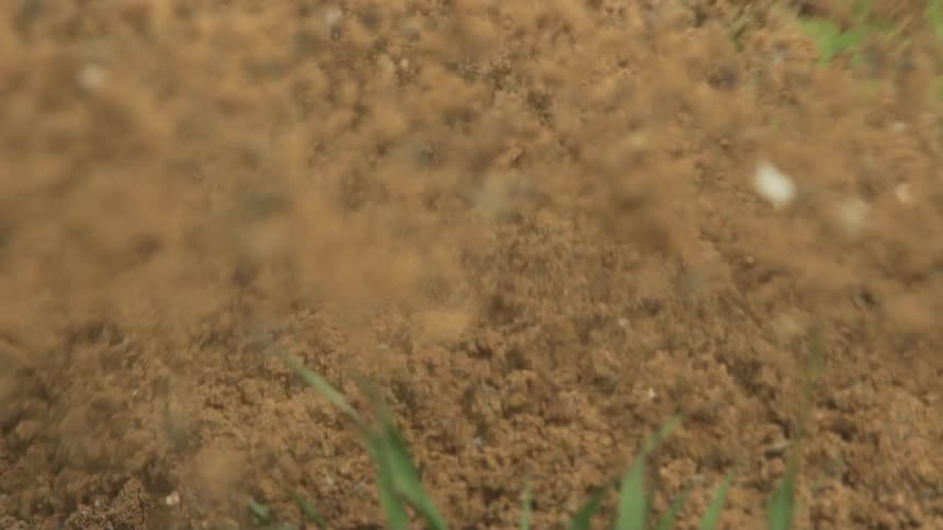 A bicycle tire moves through soil and grass