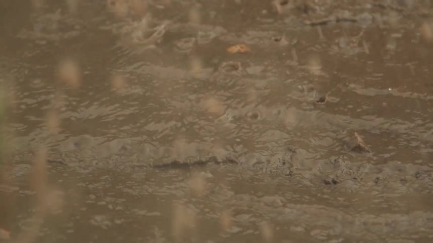 Tire drives through mud in the rain making a big splash