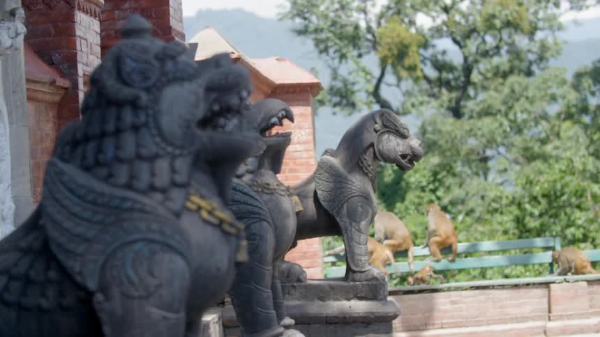 Animal statues line a building with monkeys frolicking in the background