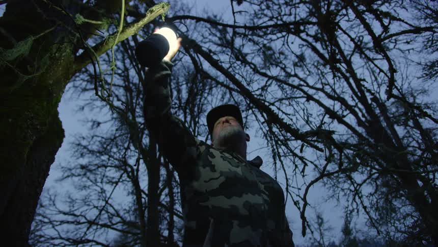 Man camping outdoors picks up a lamp hanging from a tree branch in the evening