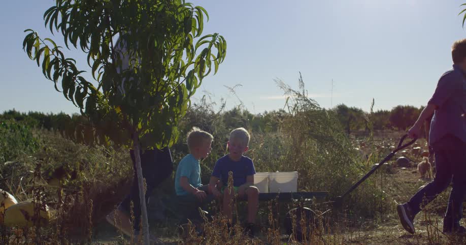 A father pulling a small cart with two boys sitting on a field