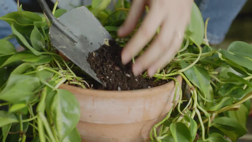 Woman scoops dirt into a pot with a plant