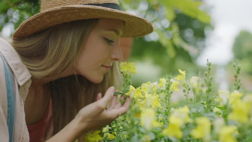 Young long haired blonde woman wearing a sun hat smell yellow small flowers in a garden
